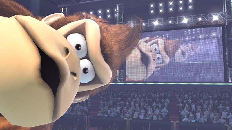 Donkey Kong infinite loop image